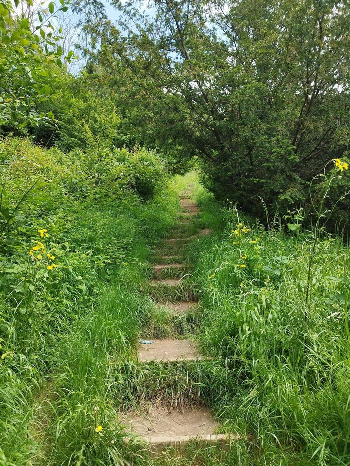Steps leading up from Whyteleafe Recreation Ground