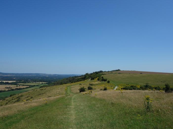 Harting Down