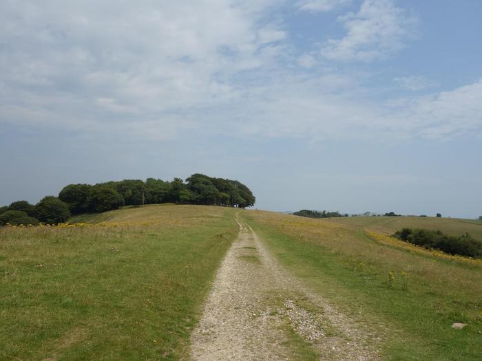 View from Chanctonbury Ring